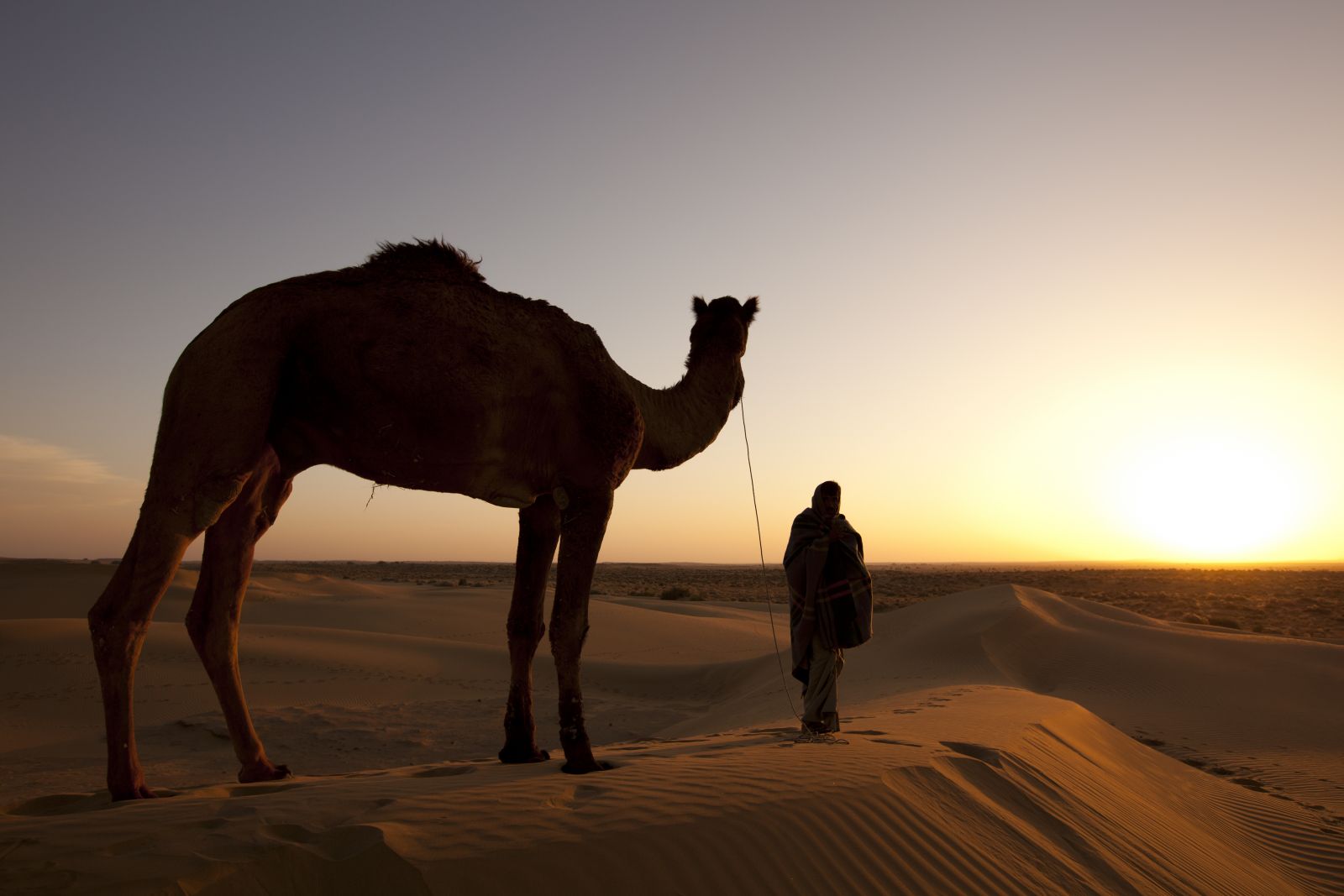 Desert Safari in Jaisalmer Rajasthan